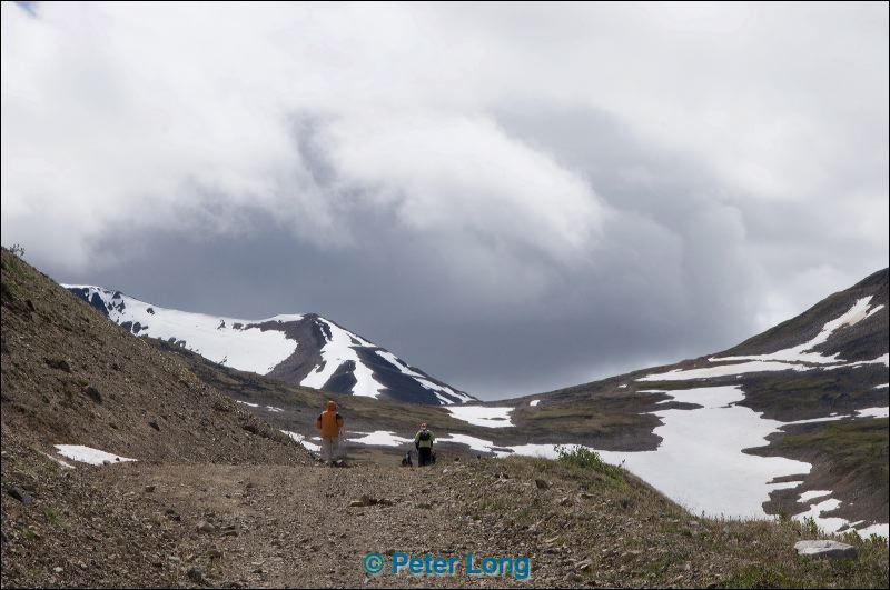 dsc_2888.jpg