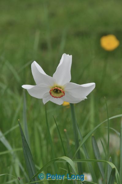 dsc_6630.jpg