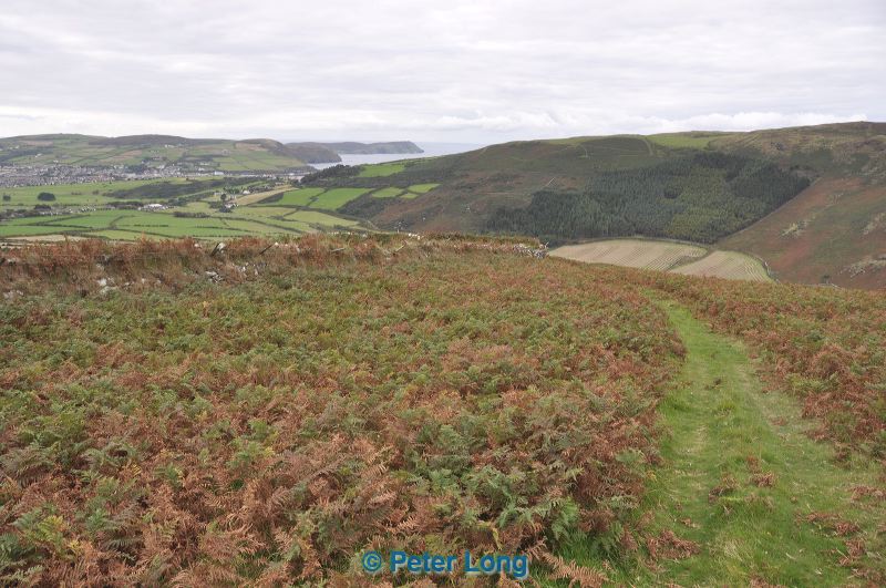 dsc_0407.jpg