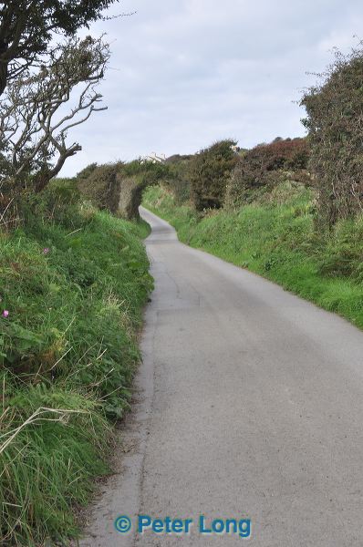 dsc_0492.jpg