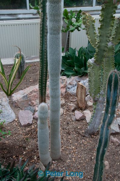 dsc_1473.jpg