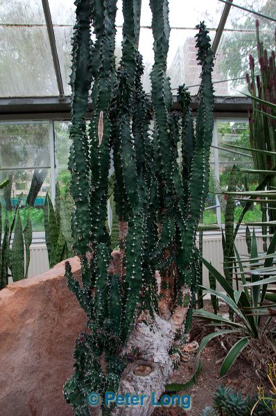 dsc_1499.jpg
