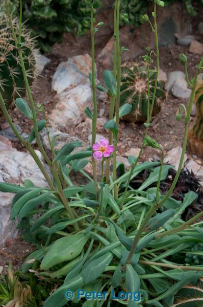 dsc_1583.jpg