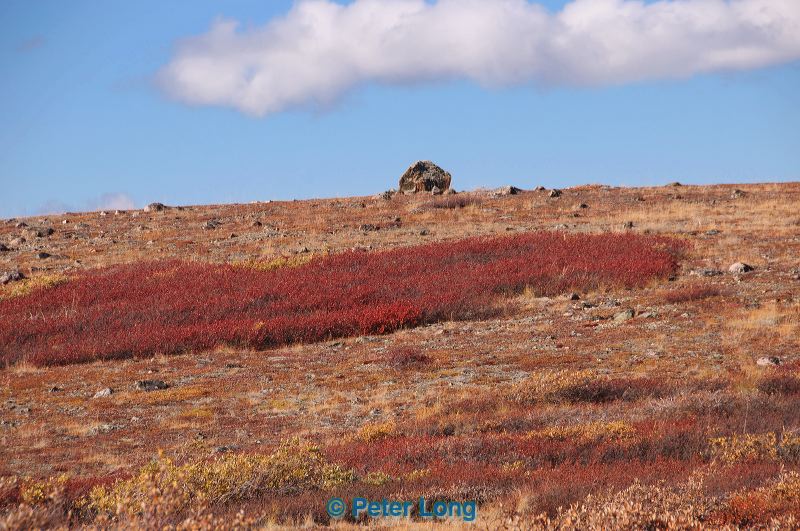 dsc_1265.jpg