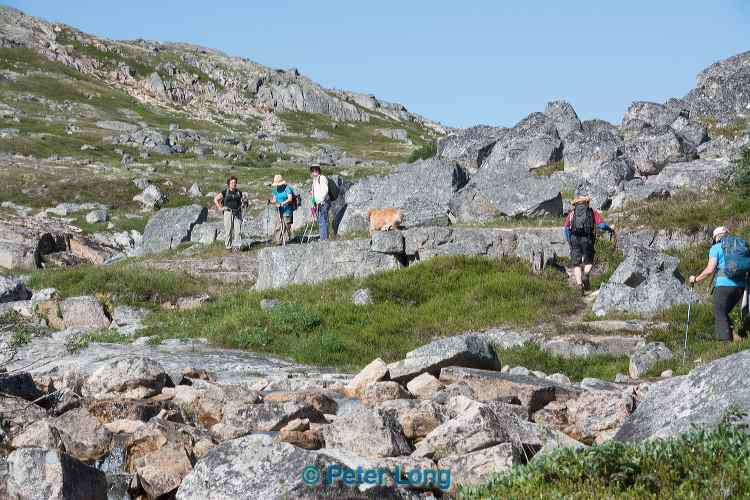 dsc_2026.jpg