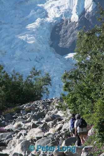 dsc_1617.jpg