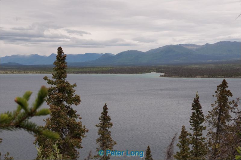 dsc_9671.jpg