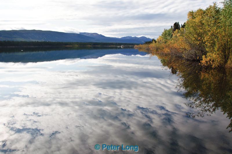 dsc_0778.jpg
