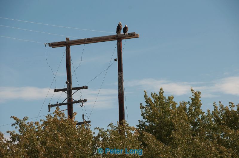 dsc_0791.jpg
