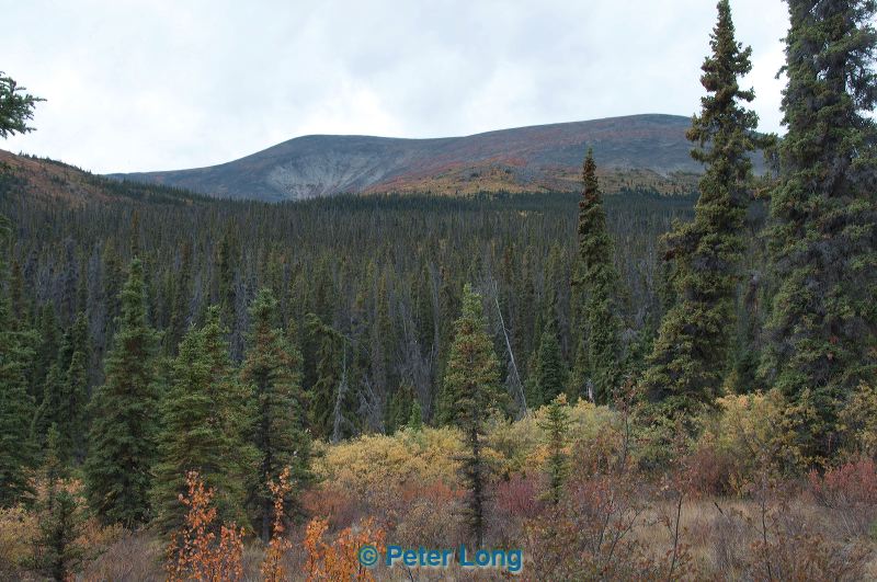 dsc_0885.jpg