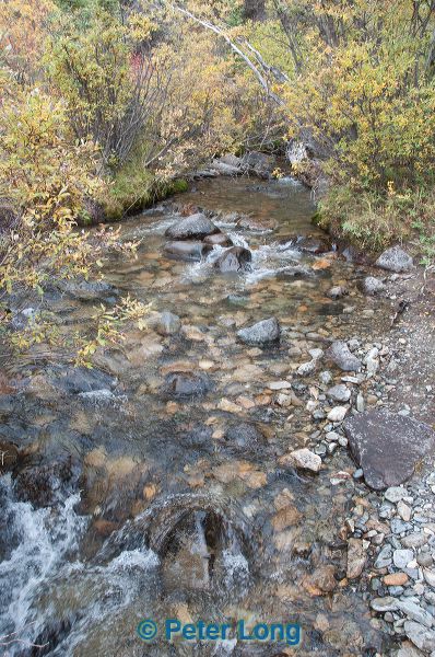 dsc_0899.jpg