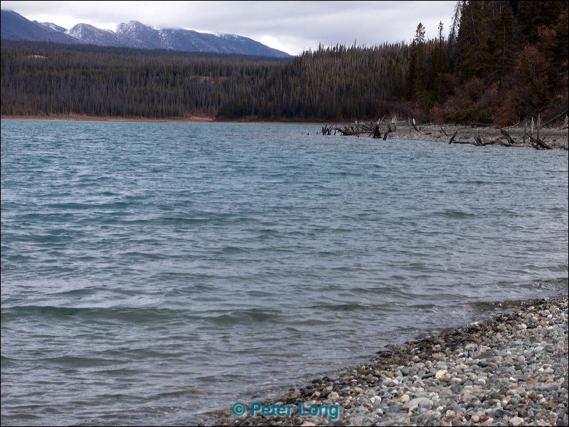 0010985_p1266.jpg