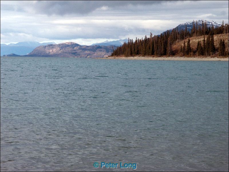 0010987_p1267x.jpg