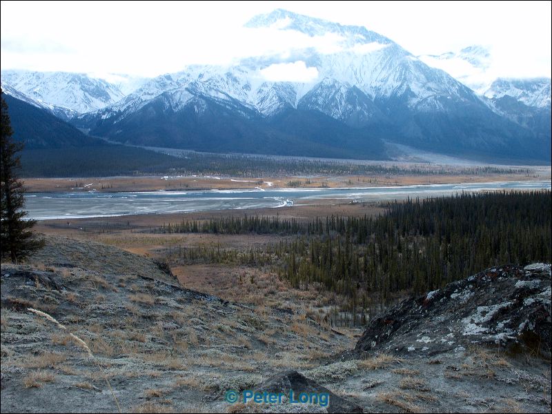 0011098_p1371x.jpg