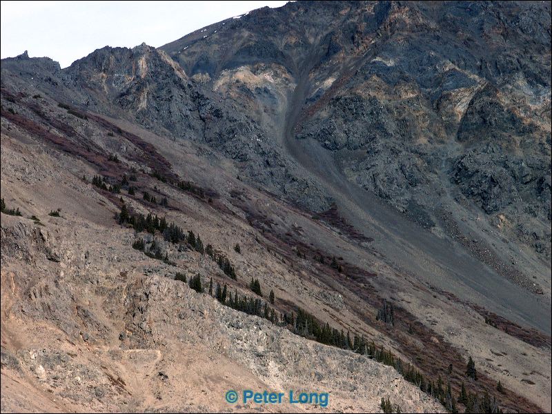 0011102_p1374x.jpg
