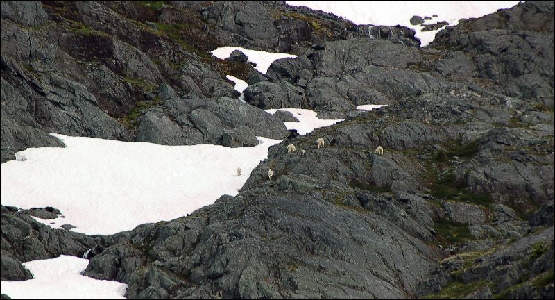 071d_neufeld_chilkoot_747c1.jpg