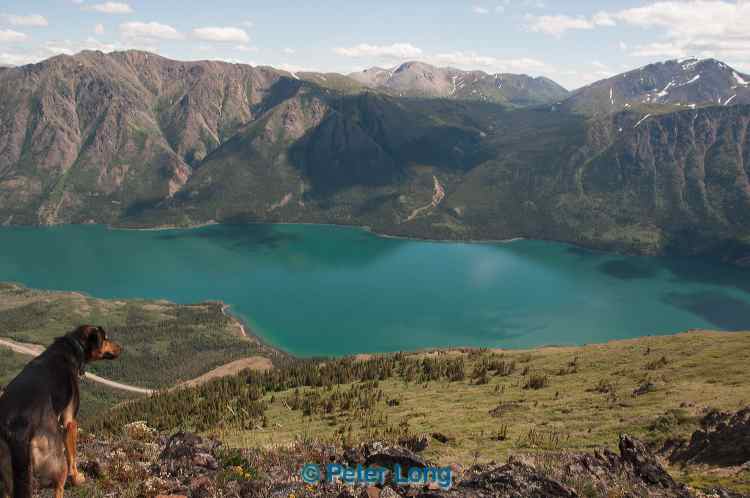 dsc_3979.jpg