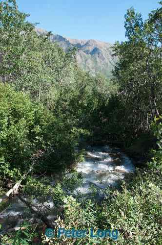 dsc_4138.jpg