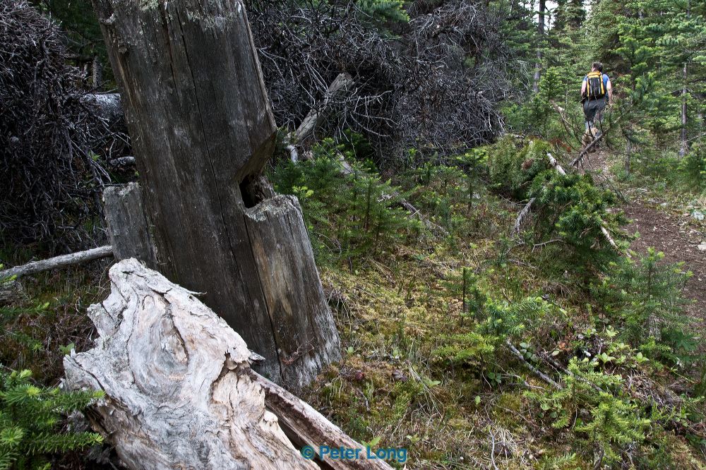 dsc_6054.jpg