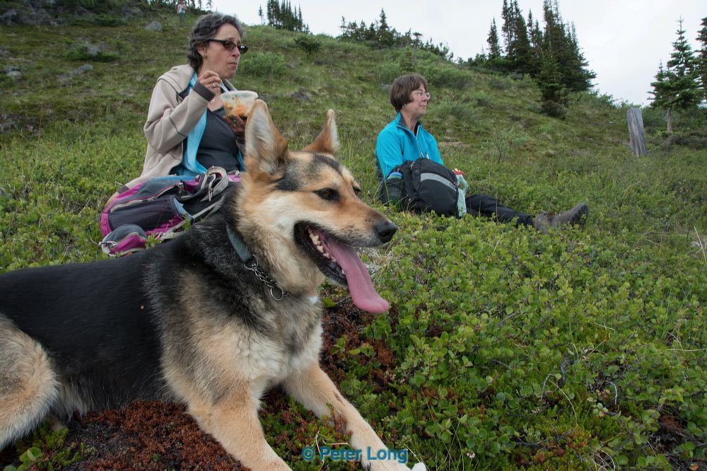 dsc_6073.jpg