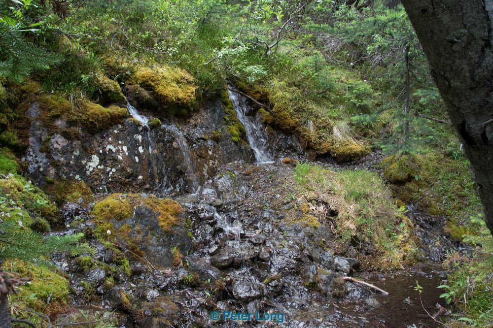 dsc_6139.jpg