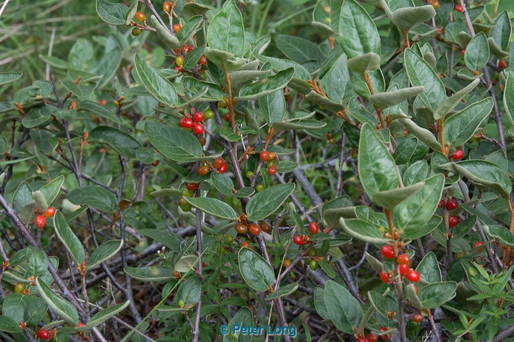 dsc_6174.jpg