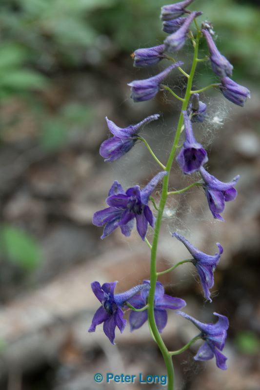 dsc_6180.jpg