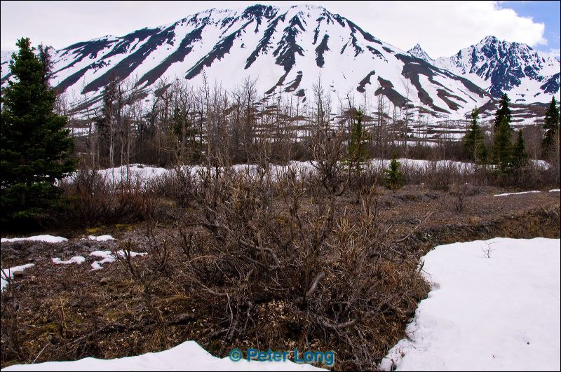 dsc_7819.jpg