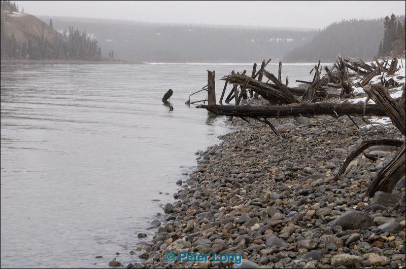 dsc_3128.jpg