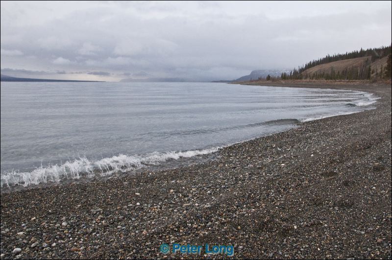 dsc_3175.jpg