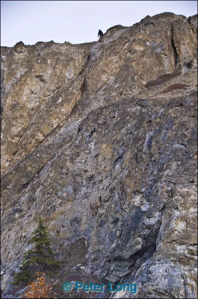 dsc_3249.jpg
