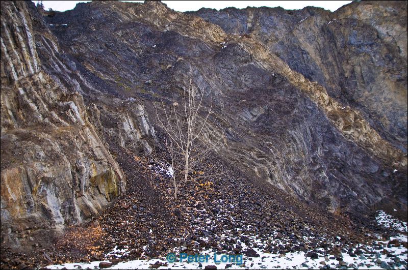 dsc_3261.jpg