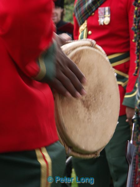 pict8635.jpg