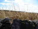 img_3476