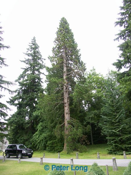 pict8408.jpg