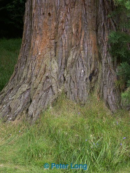 pict8551.jpg