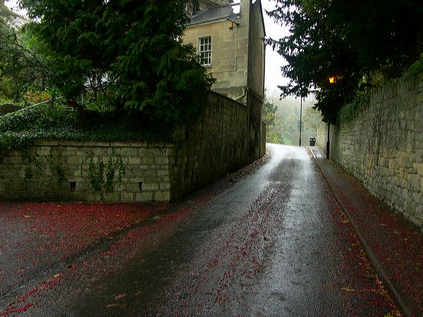 pict7330.jpg