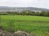 pict7284