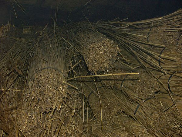 pict6397.jpg