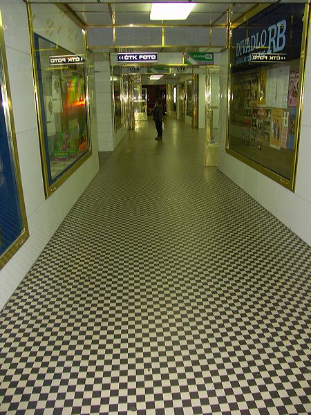 pict5141.jpg