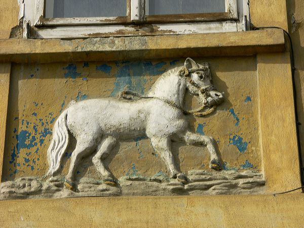 pict5021.jpg