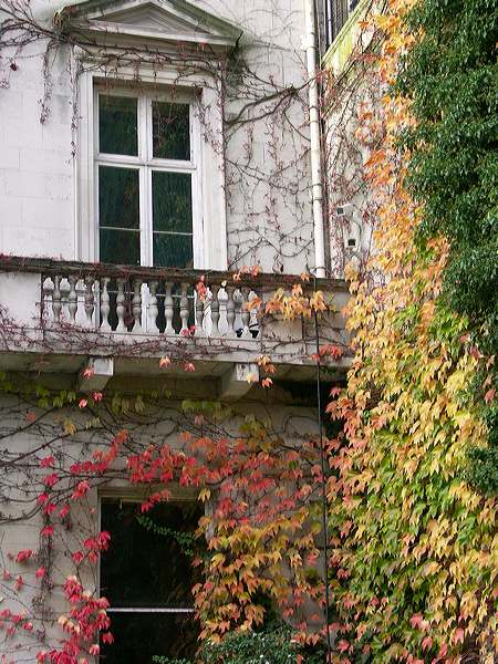 pict7019.jpg