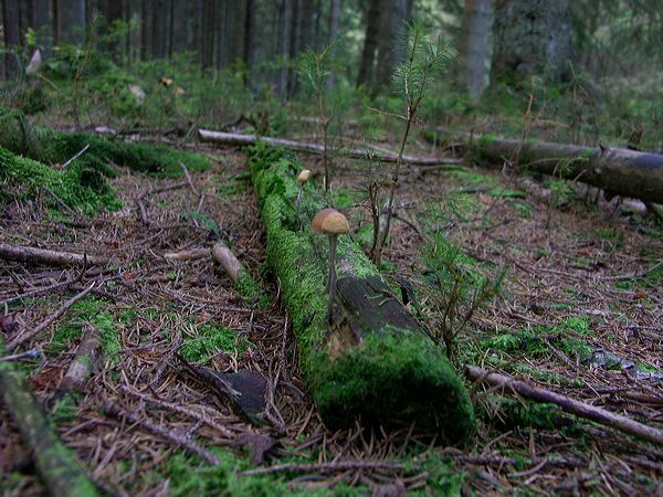 pict5692.jpg