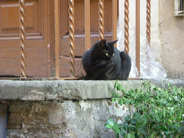 pict2624.jpg