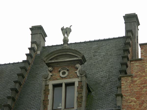 pict5990.jpg