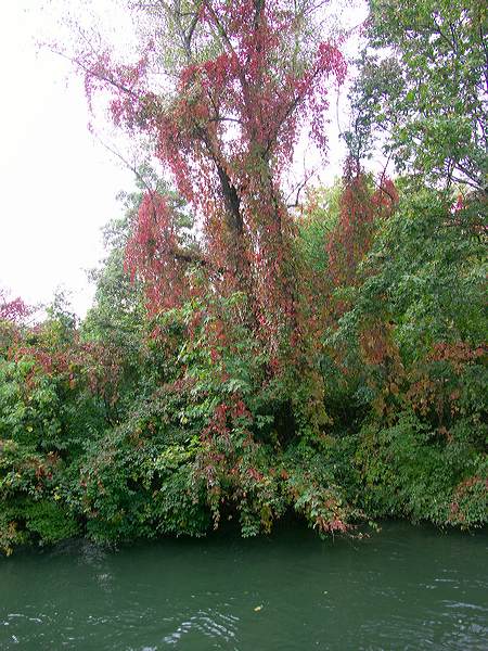 pict5166.jpg