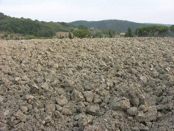 pict2812.jpg