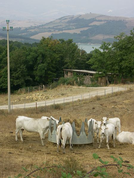 pict2816.jpg