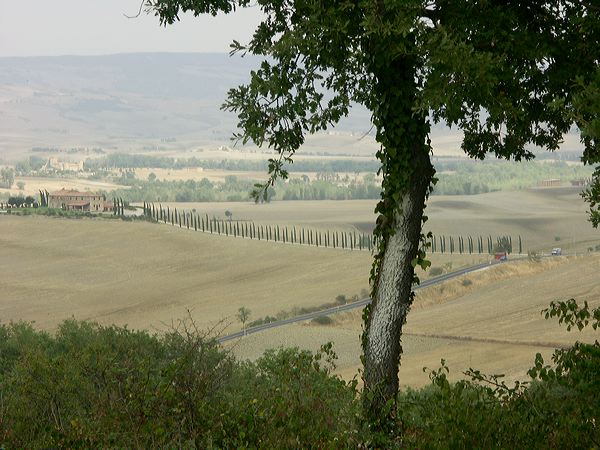 pict2984.jpg