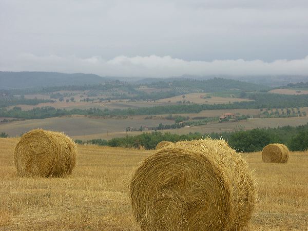 pict3048.jpg